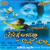 Rutu Pheri Jaichi Ranga Sari Jaichhi To Bina Lagena Bhala Kichhi Sathire