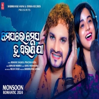 Meghare Megha Tu Barashi Ja
