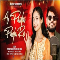 A Pagla Pagla Re