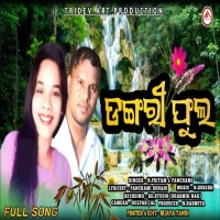 Dangari Phula