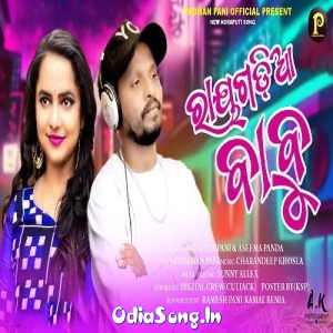 Rayagadia Babu.mp3