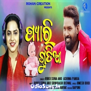 Pyari Gudia.mp3